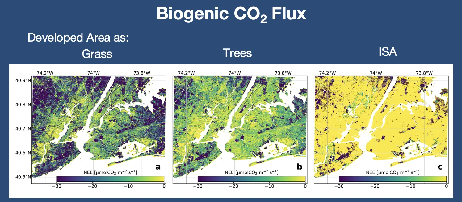 CO2 flux for Forest, grasses and no vegetation in developed areas