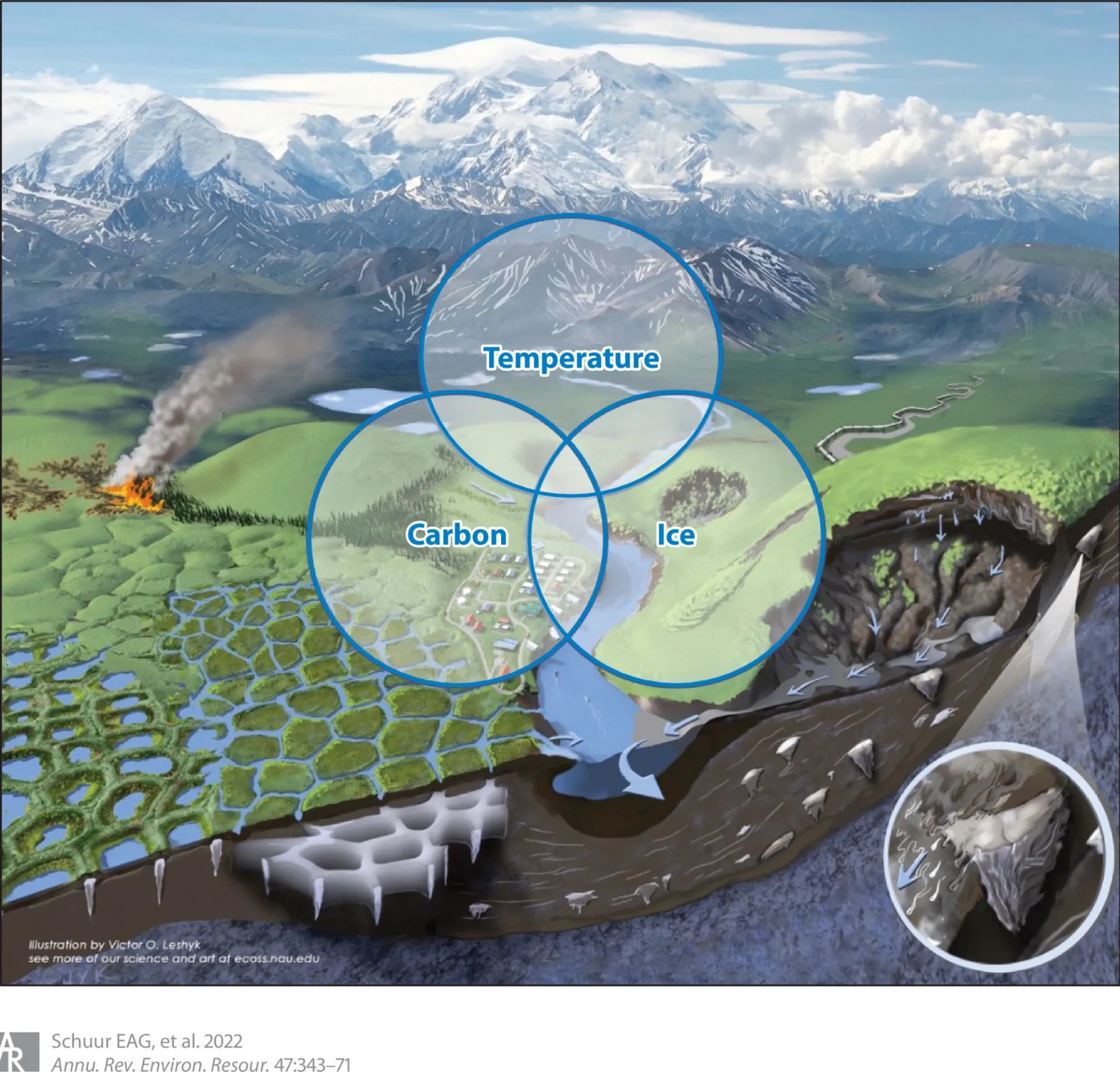 Permafrost is generated from carbon rich soils subject to cold temperature and ice formation