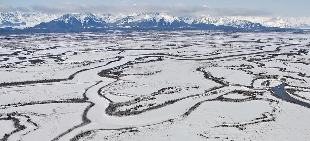 Snow covered wetlands in Alaska