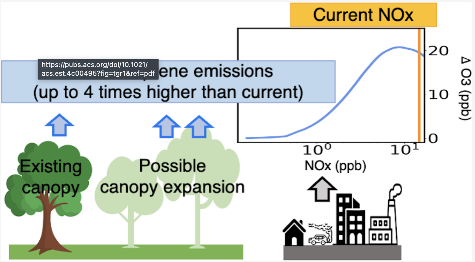 Isoprene from oak trees could lead to ozone production because of all the traffic in NYC