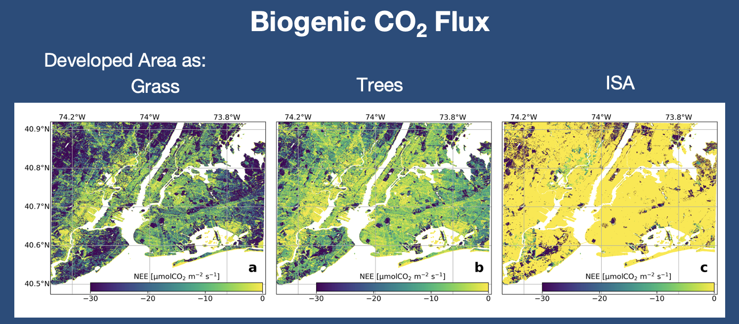Biogenic CO2 over New York City shows lots of uptake by vegetation in the developed areas of the city
