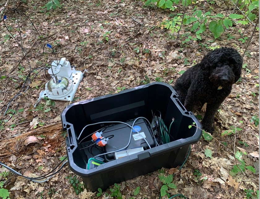 Trusty field assistant Dr. Bodhi the Dog guards the equipment and ensures accurate data collection.