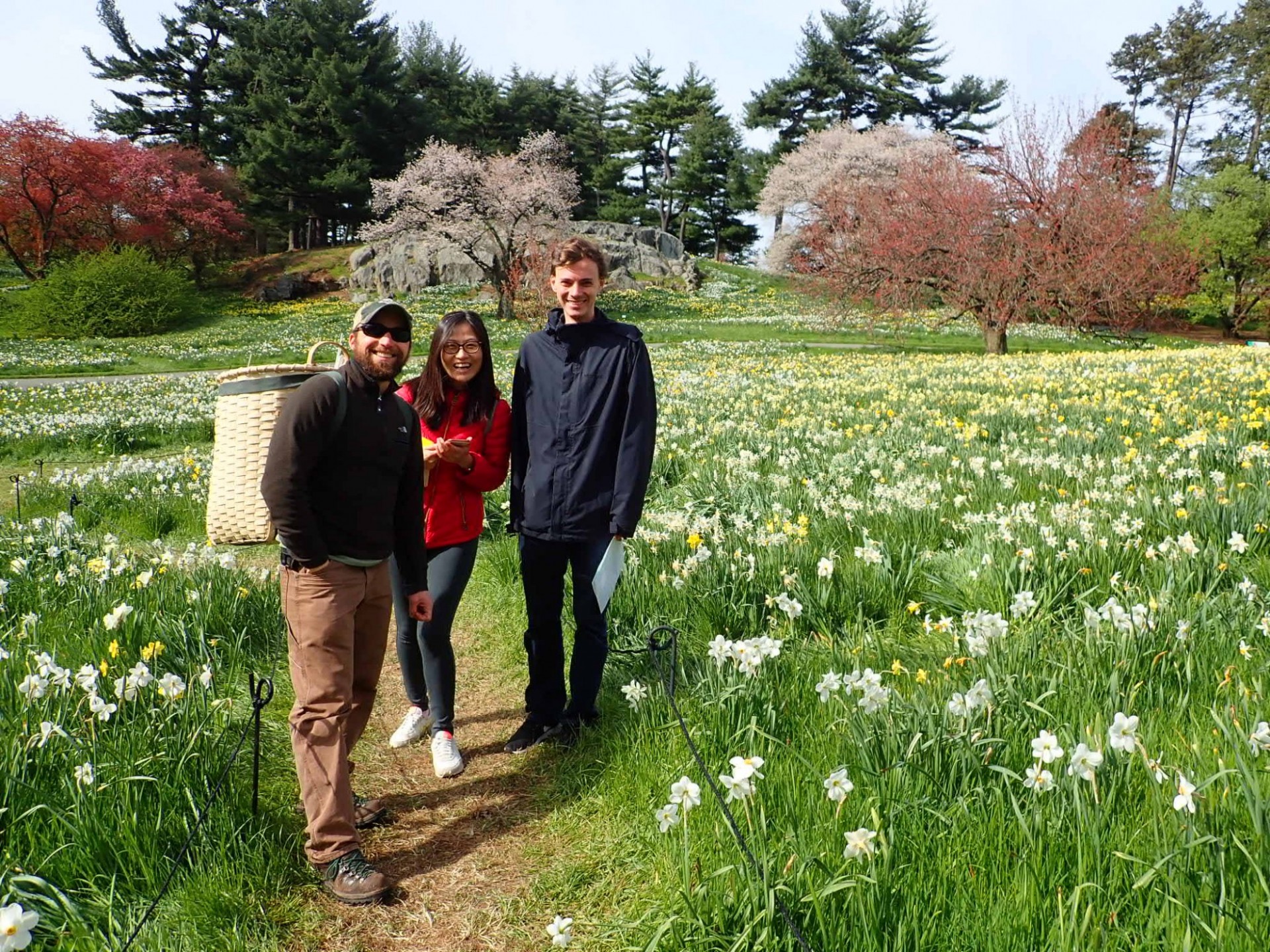 Andy, Dandan and Andrew pose among the daffodils at the New York Botanical Garden